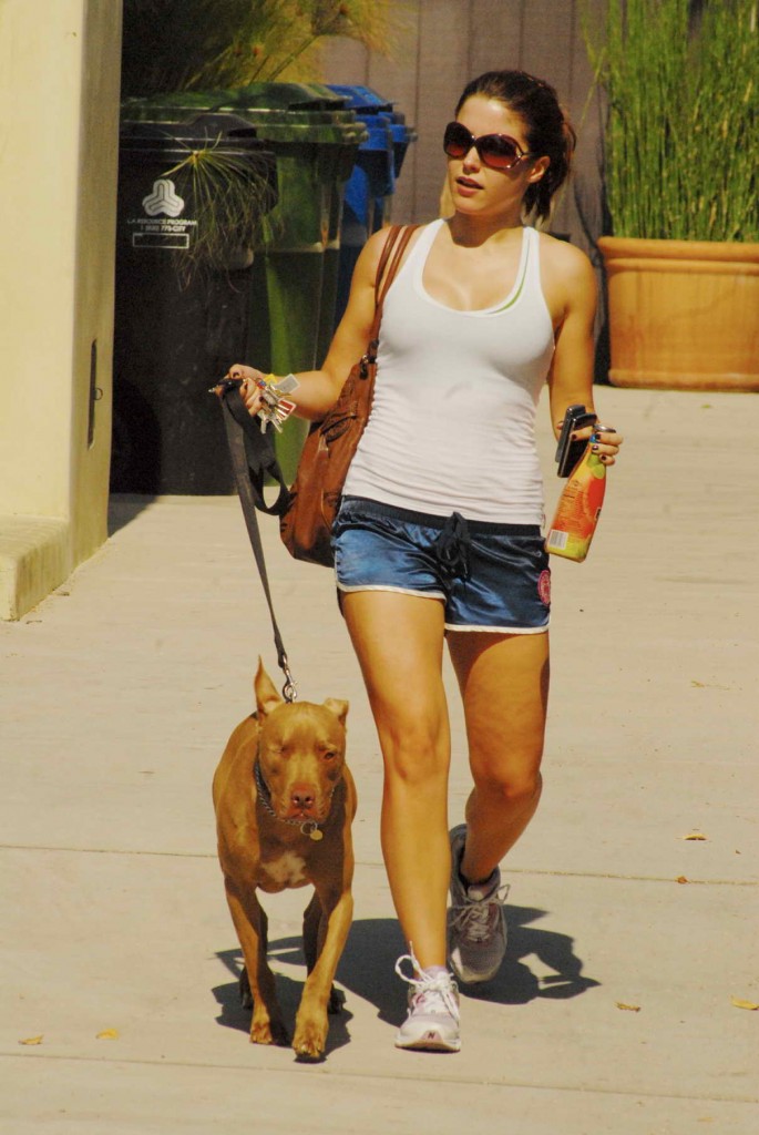 Sophia Bush With Dog Out in West Hollywood 03/09/2016-3