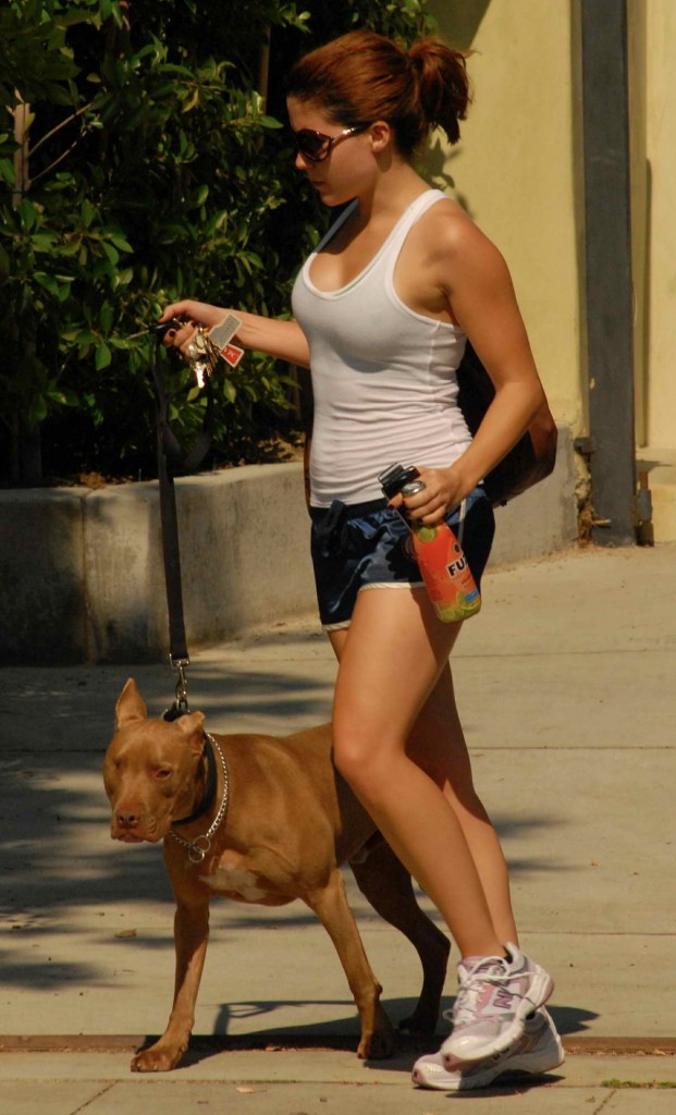 Sophia Bush With Dog Out in West Hollywood 03/09/2016-4