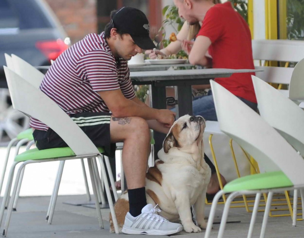 Shia LaBeouf Out for Lunch in Studio City 04/03/2016-5