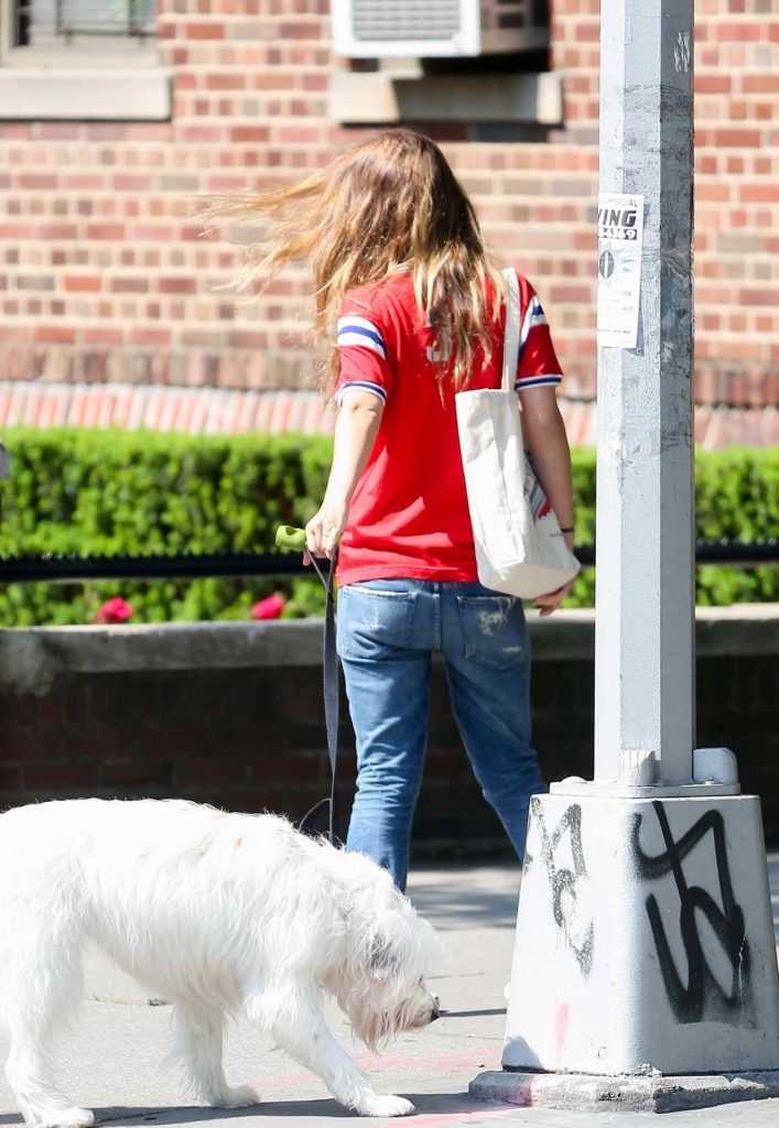 Olivia Wilde Walks With Her Dog in New York City 05/23/2016-5