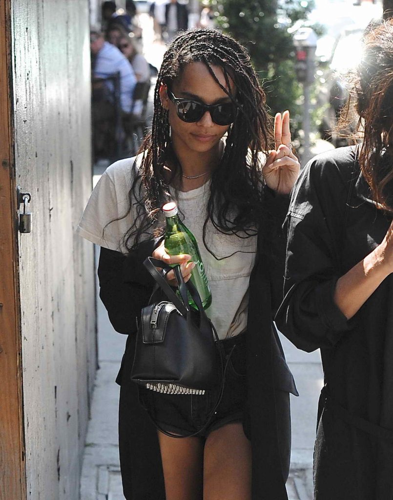 Zoe Kravitz Was Spotted With a Friend in Los Angeles 05/26/2016-4