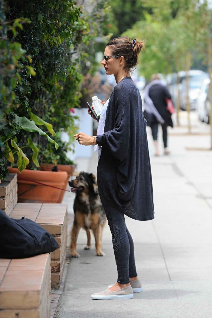 Alessandra Ambrosio Out in Brentwood 06/05/2016-4