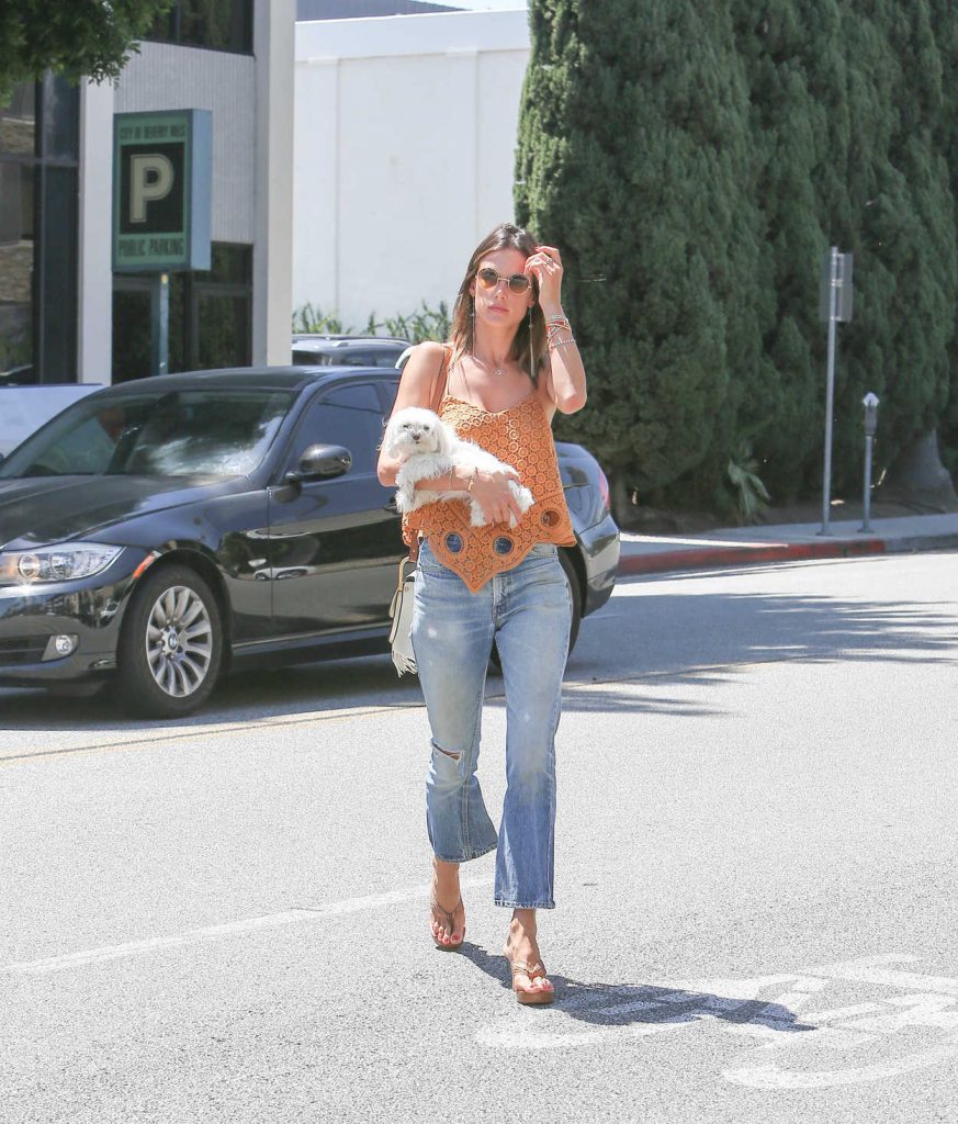 Alessandra Ambrosio With Her Dog Visits a Friends House in Beverly Hills 07/26/2016-3