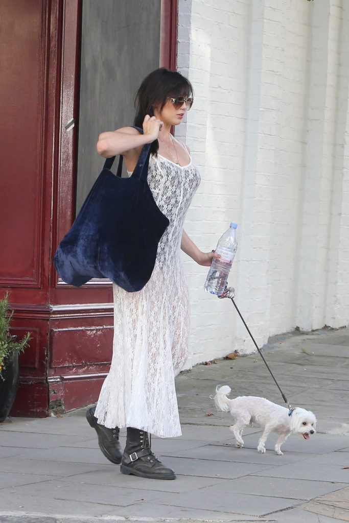 Daisy Lowe Walks Her Dog in London 07/23/2016-3