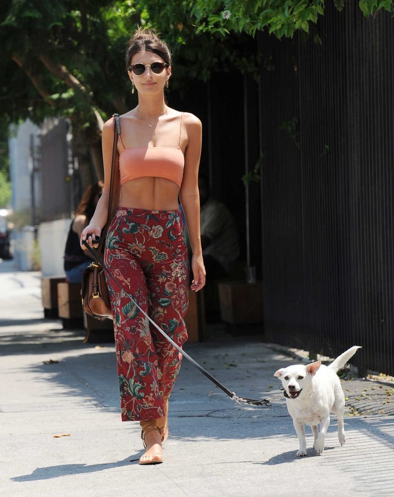 Emily Ratajkowski Walks Her Dog in Los Angeles 07/29/2016-1