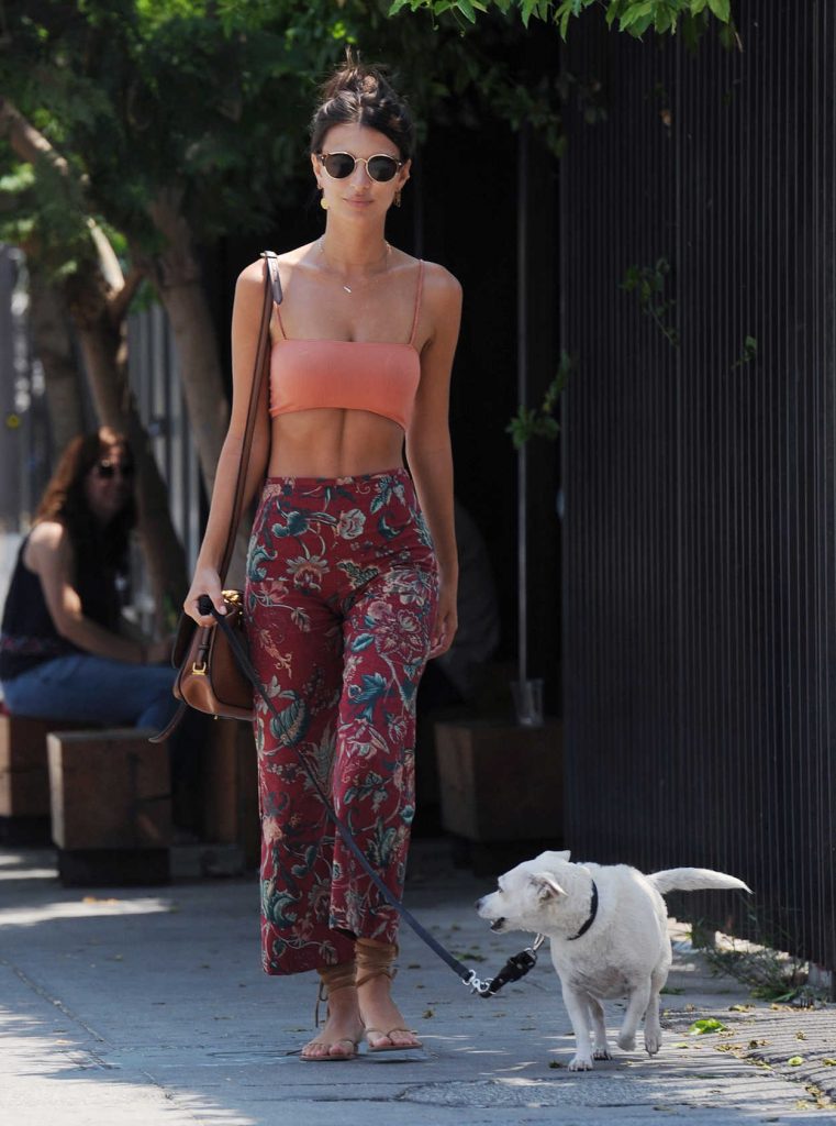 Emily Ratajkowski Walks Her Dog in Los Angeles 07/29/2016-2