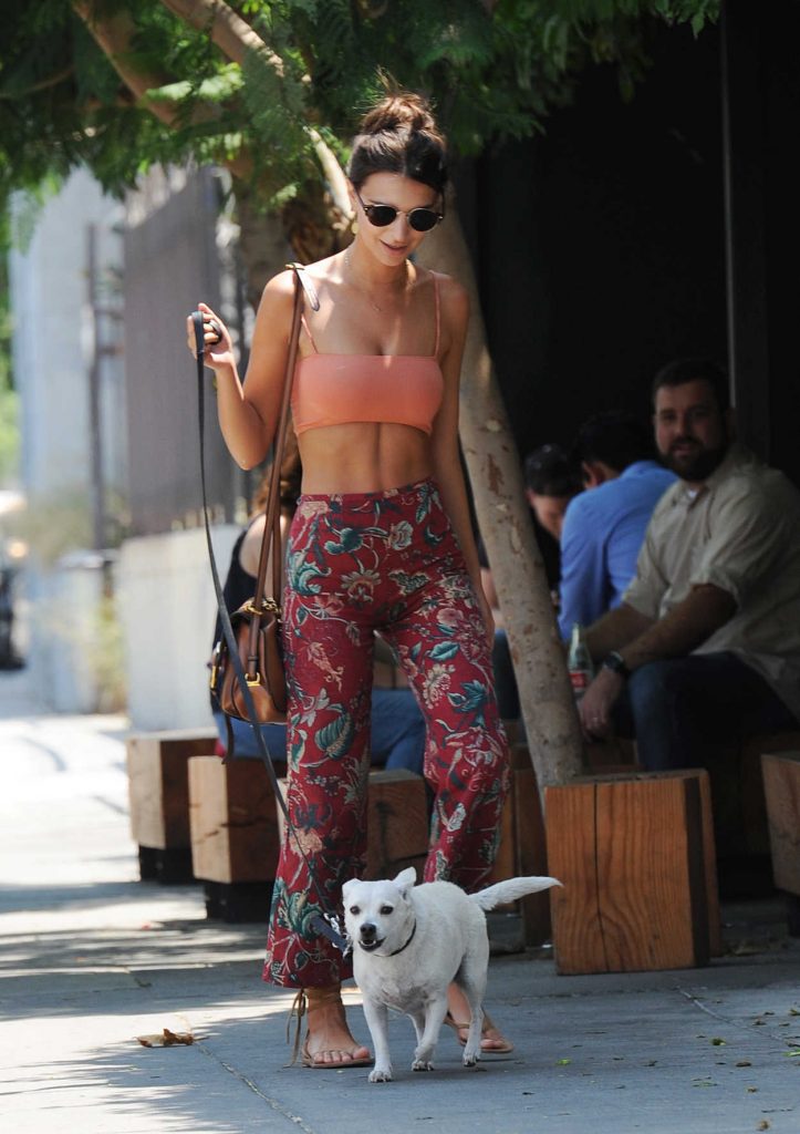 Emily Ratajkowski Walks Her Dog in Los Angeles 07/29/2016-4