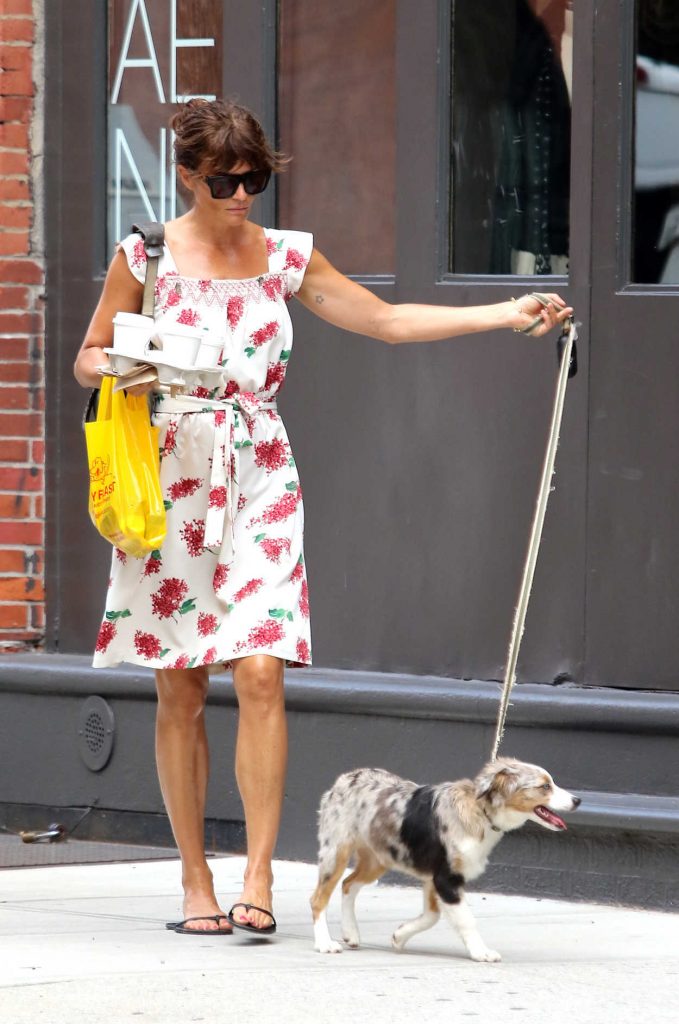 Helena Christensen Walks Her Dog in New York City 07/15/2016-3