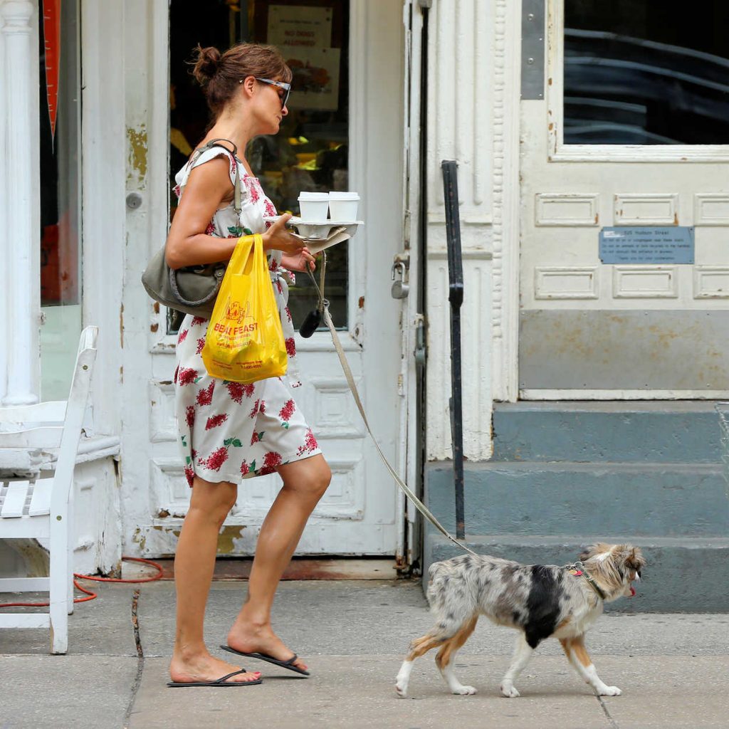 Helena Christensen Walks Her Dog in New York City 07/15/2016-5