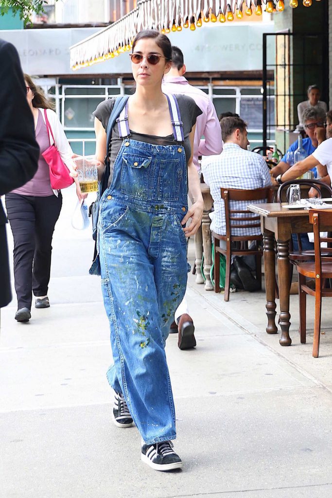 Sarah Silverman Was Seen Out in New York City 07/13/2016-3