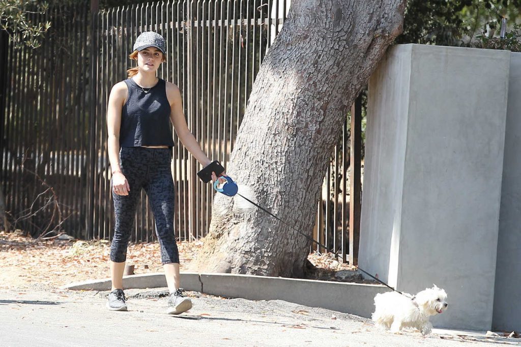 Lucy Hale Walks Her Dog in Los Angeles 08/20/2016-4