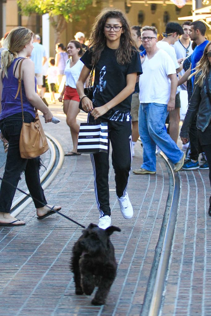 Zendaya at The Grove in West Hollywood 08/12/2016-3