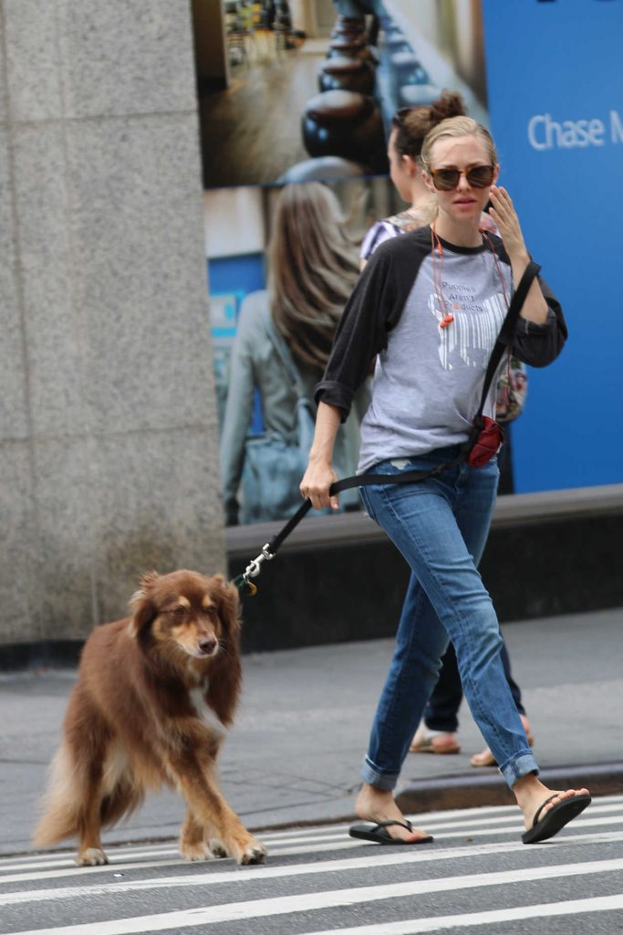 Amanda Seyfried Takes a Break From Filming Anon in New York 09/05/2016-2