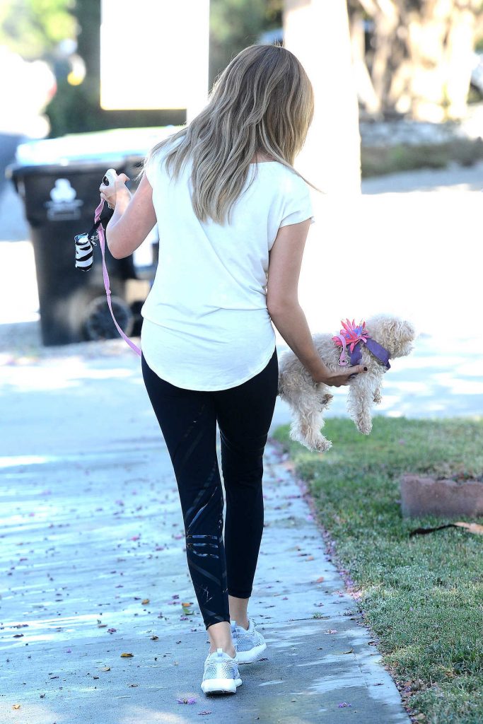 Ashley Tisdale With Her Dog Maui Was Seen Out in Los Angeles 09/08/2016-5