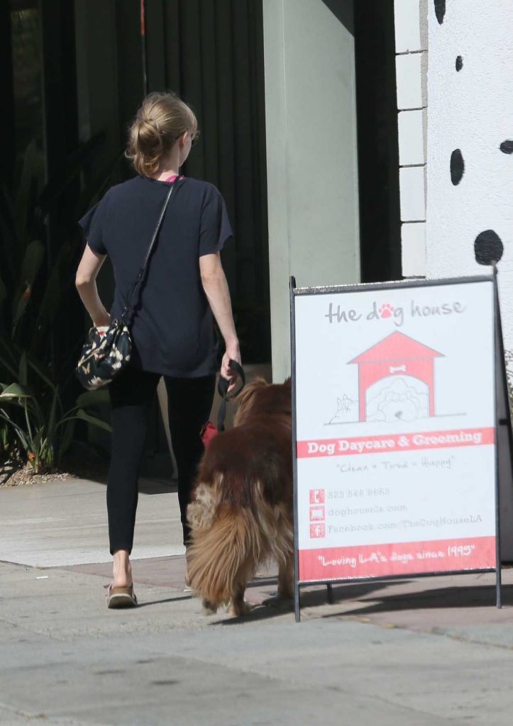 Amanda Seyfried Drops Her Dog at the Dog House for Daycare 10/06/2016-2