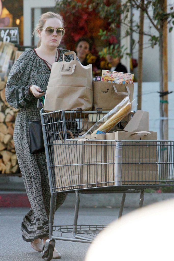 Adele Goes Shopping at a Grocery in Beverly Hills 11/23/2016-2