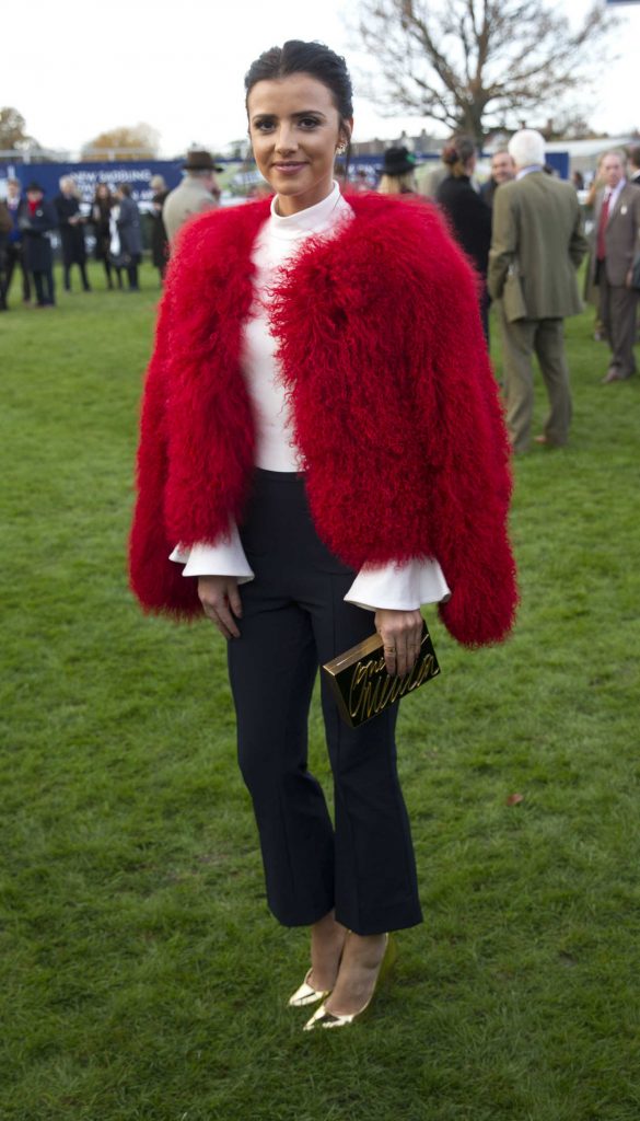 Lucy Mecklenburgh at the Hennessy Gold Cup at Newbury Racecourse 11/26/2016-2