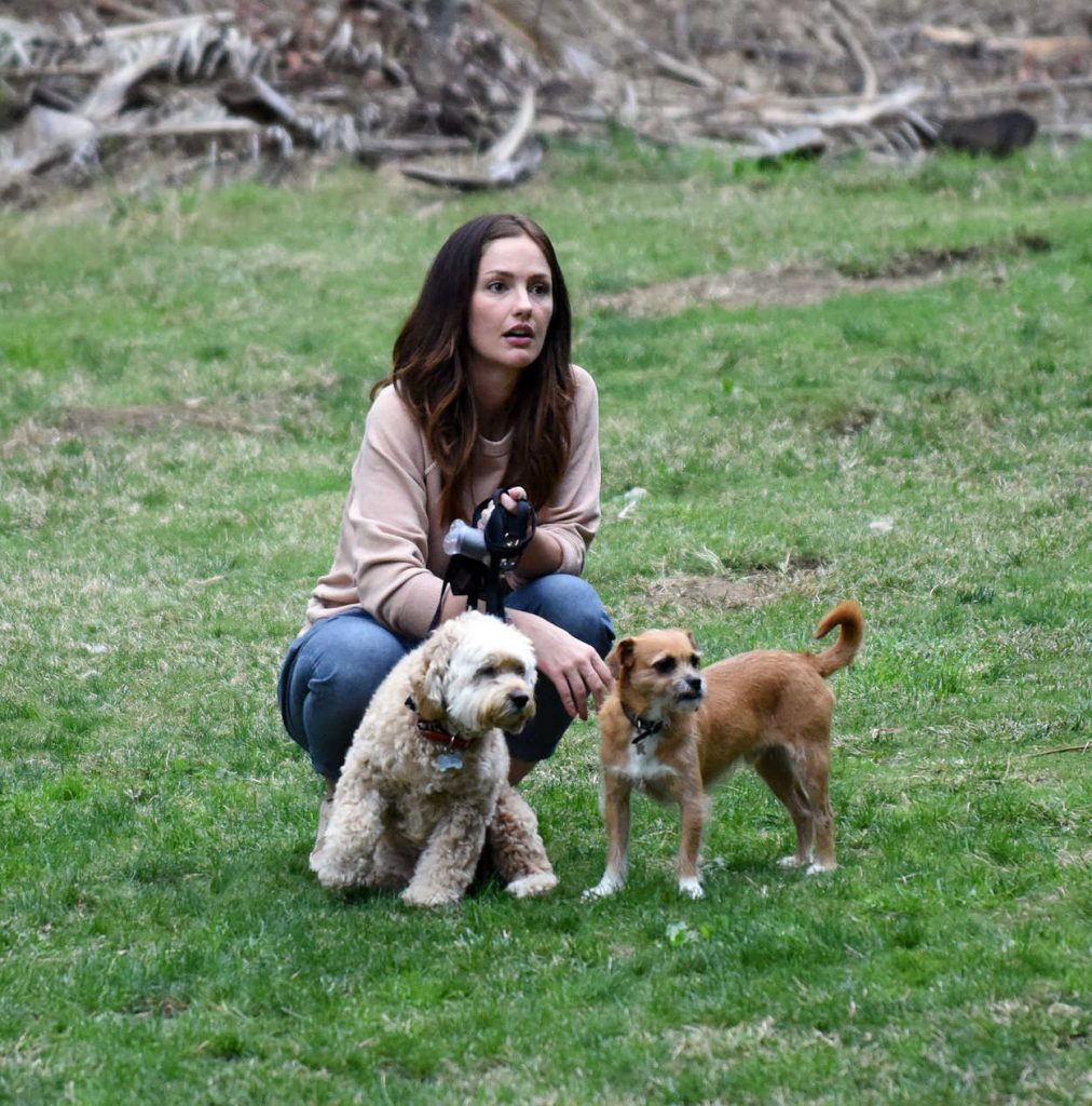 Minka Kelly Was Seen in a Los Angeles Park With Her Dogs 11/02/2016-2