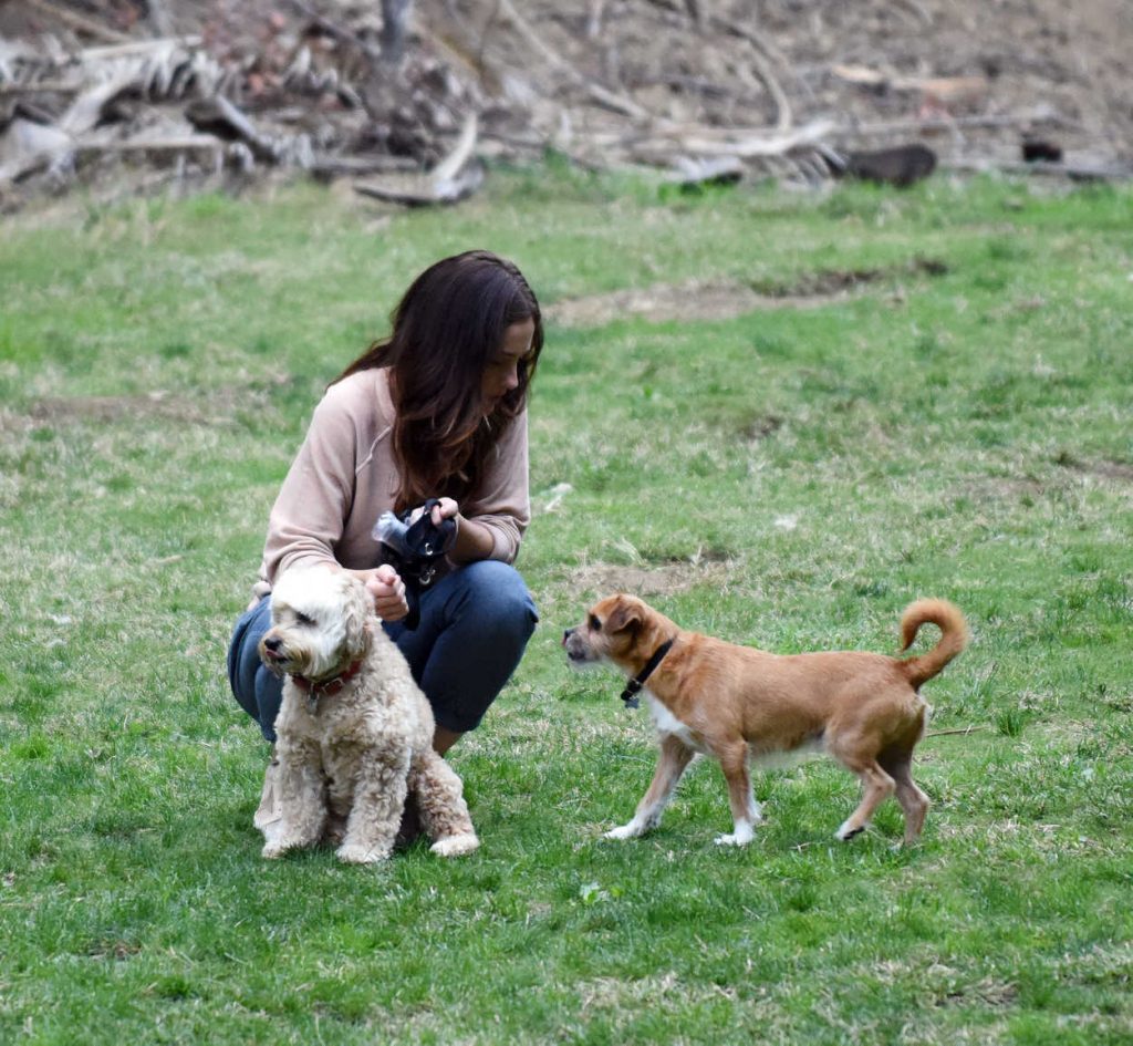 Minka Kelly Was Seen in a Los Angeles Park With Her Dogs 11/02/2016-3