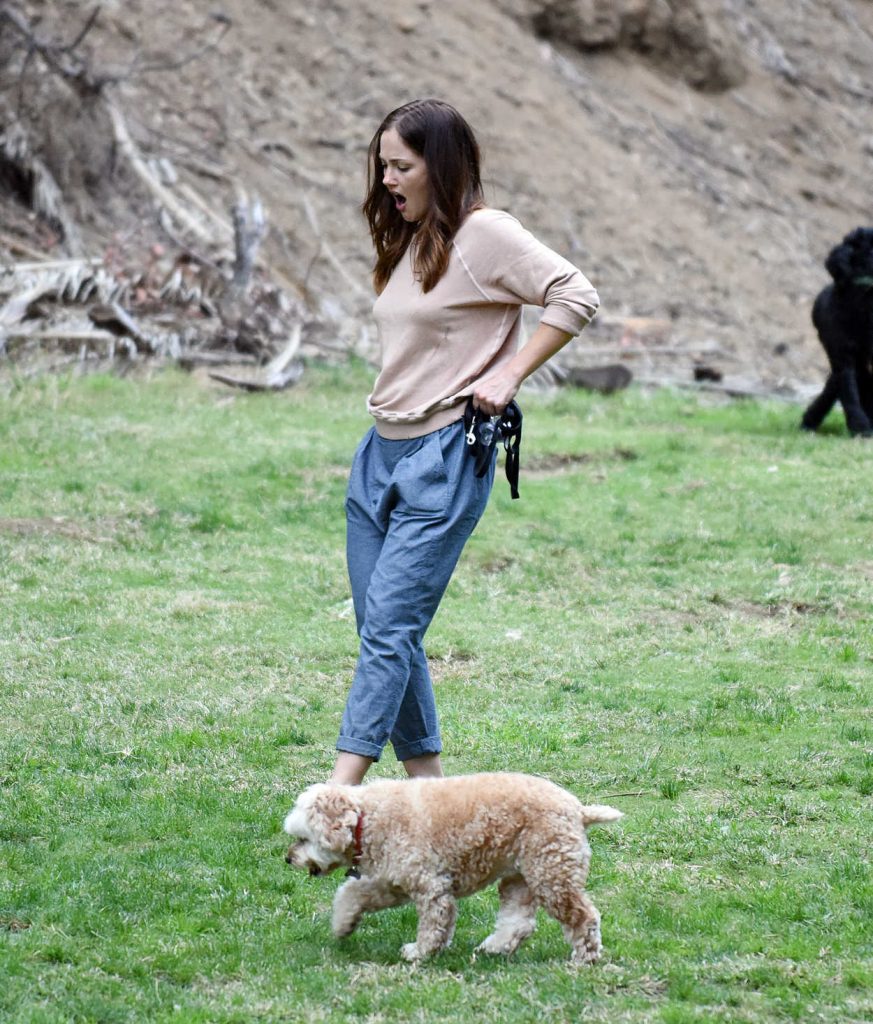 Minka Kelly Was Seen in a Los Angeles Park With Her Dogs 11/02/2016-5