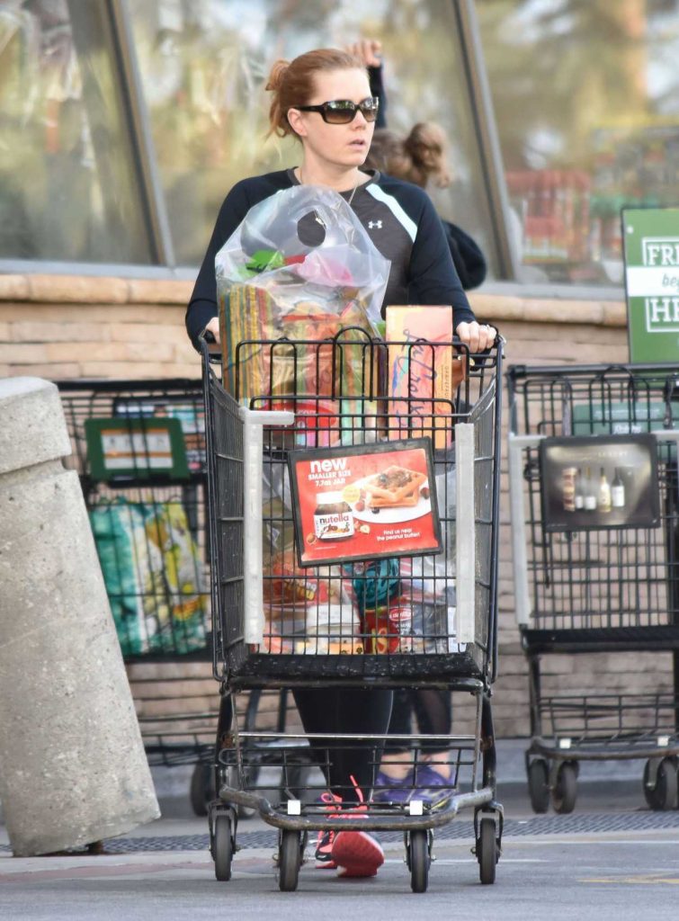 Amy Adams Goes Grocery Shopping in Studio City 12/01/2016-2