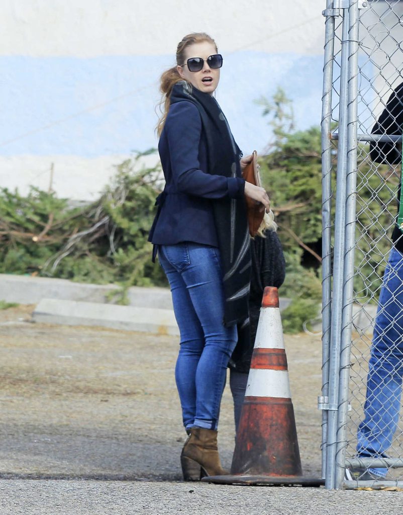 Amy Adams Goes Shopping for Christmas Tree in West Hollywood 12/10/2016-4