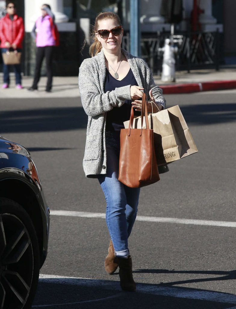 Amy Adams Goes Shopping in Beverly Hills 12/20/2016-3