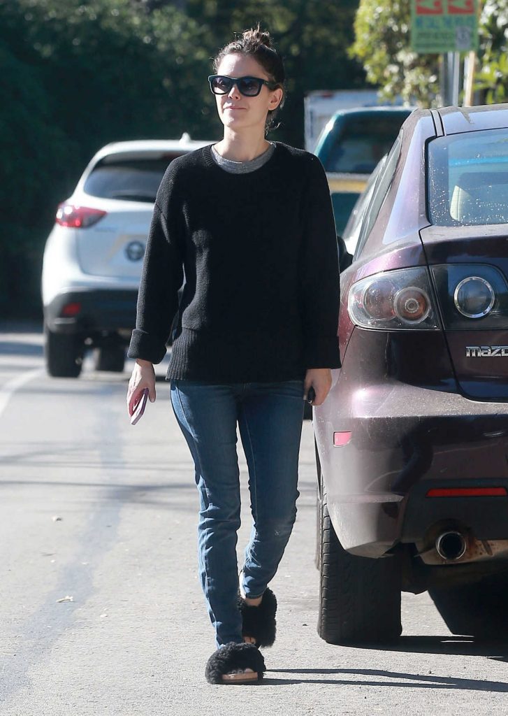 Rachel Bilson Was Spotted Out in Studio City 11/29/2016-2