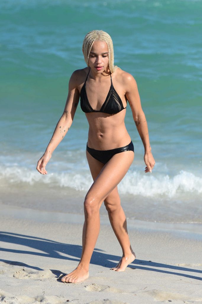 Zoe Kravitz in Bikini at the Beath in Miami 12/24/2016-1
