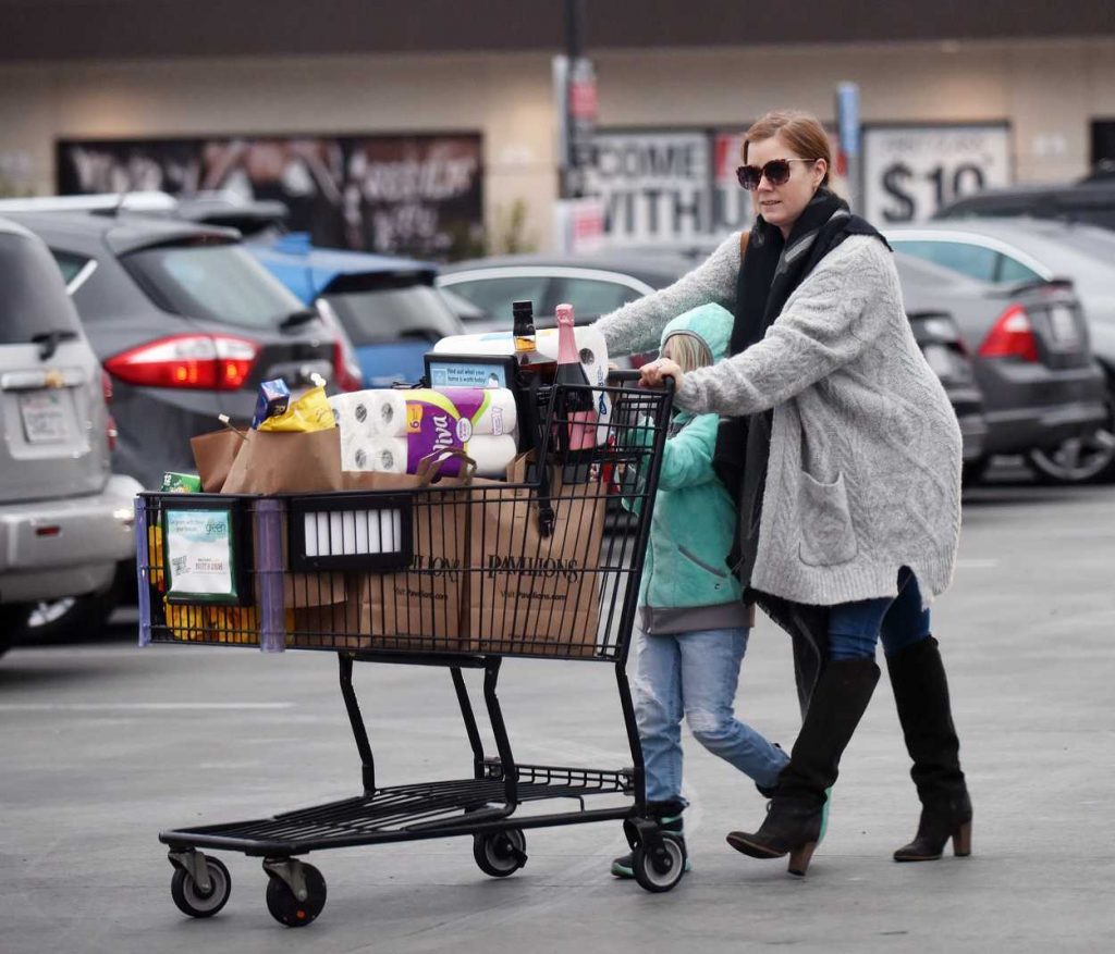 Amy Adams Goes Grocery Shopping in Los Angeles 12/31/2016-1