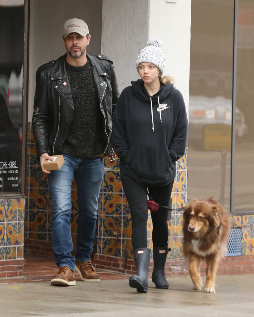 Amanda Seyfried Walks With Her Dog in Hollywood 02/06/2017-2