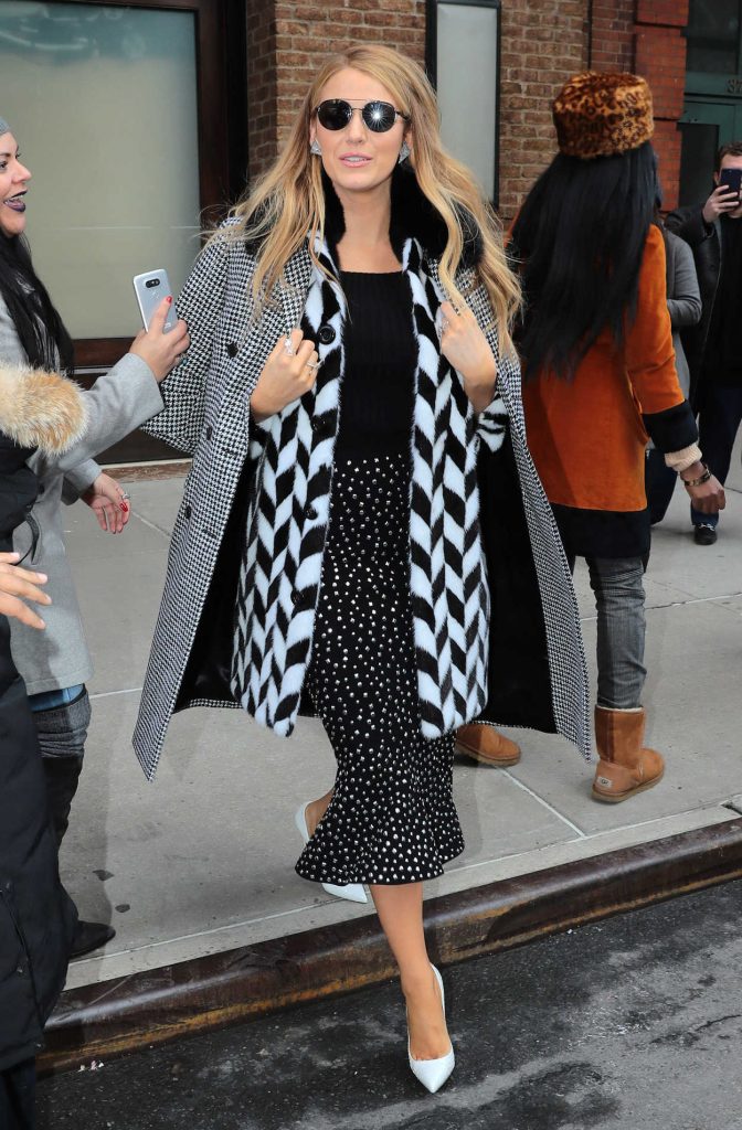Blake Lively Was Seen Ou in New York City 02/15/2017-4