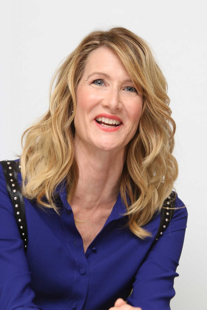 Laura Dern at the Big Little Lies Press Conference at the Four Seasons Hotel in Los Angeles 02/07/2017-4