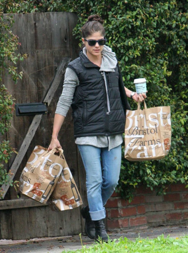 Selma Blair Out Shopping in Los Angeles 02/20/2017-3