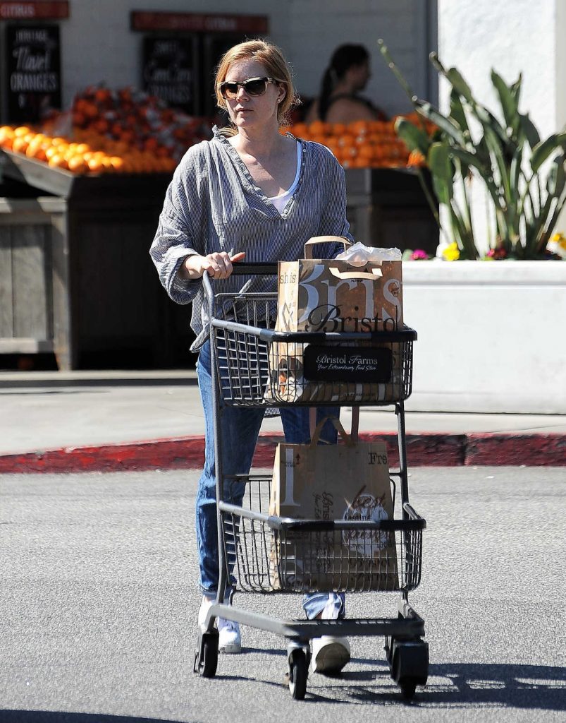 Amy Adams Does a Grocery Shopping in Los Angeles 03/15/2017-2