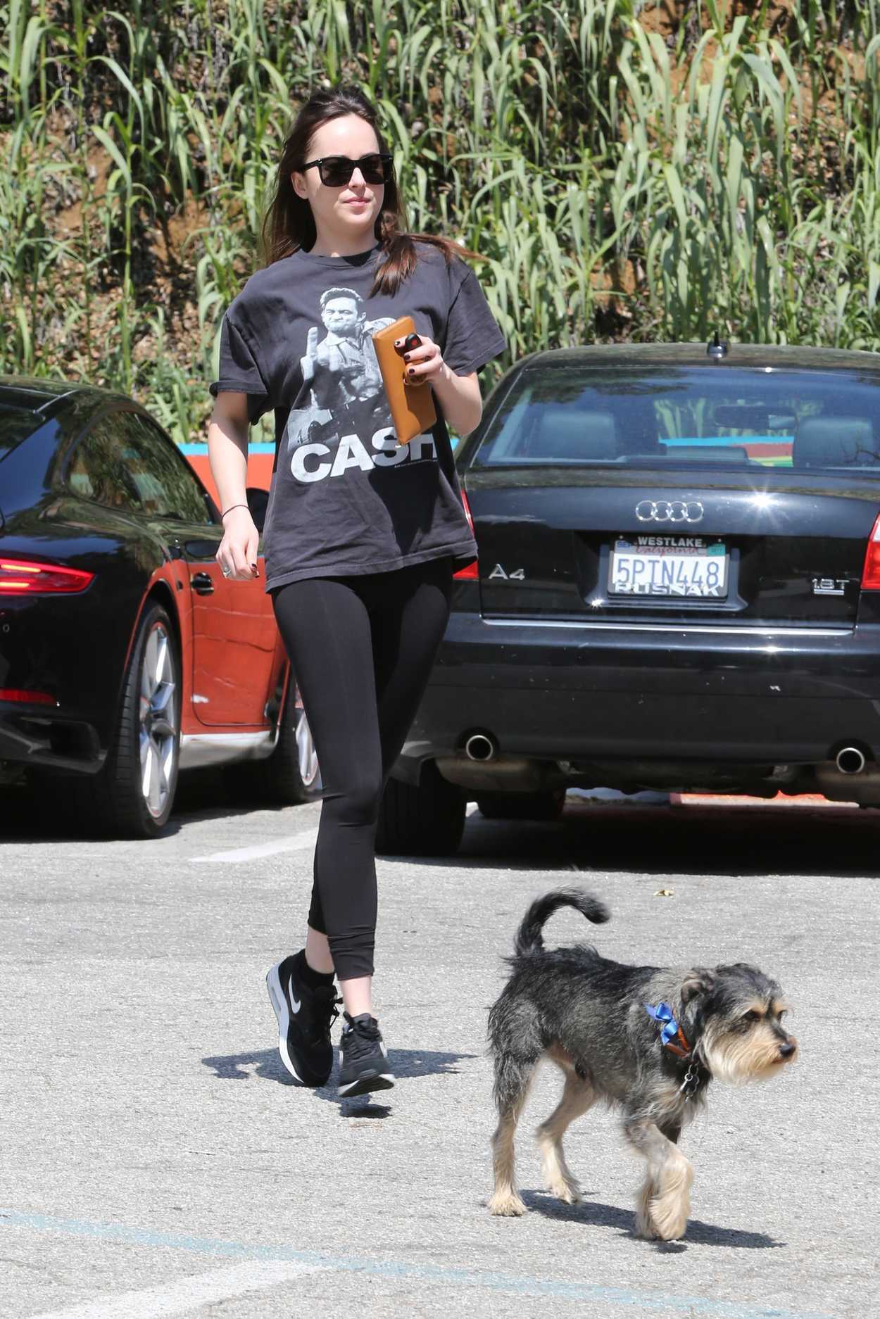 Dakota Johnson Walks With Her Dog in Los Angeles 03/26