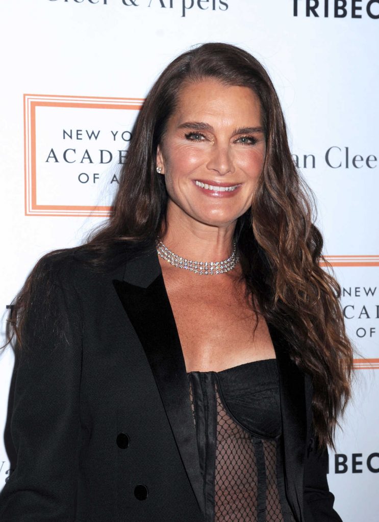 Brooke Shields at the New York Academy of Art Tribeca Ball 04/03/2017-4