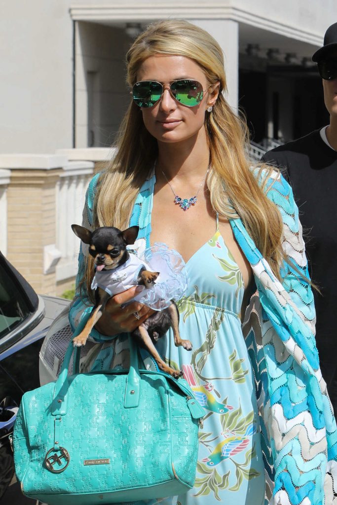 Paris Hilton Was Seen Out in Los Angeles 04/03/2017-5