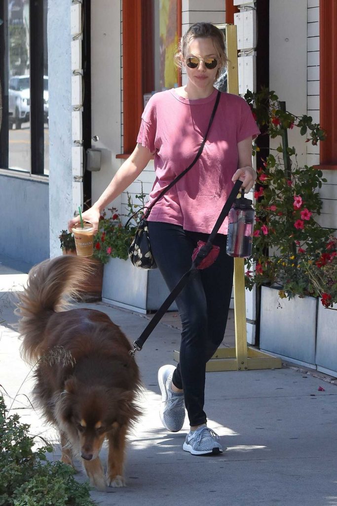 Amanda Seyfried Walkes Her Dog in West Hollywood 05/16/2017-1