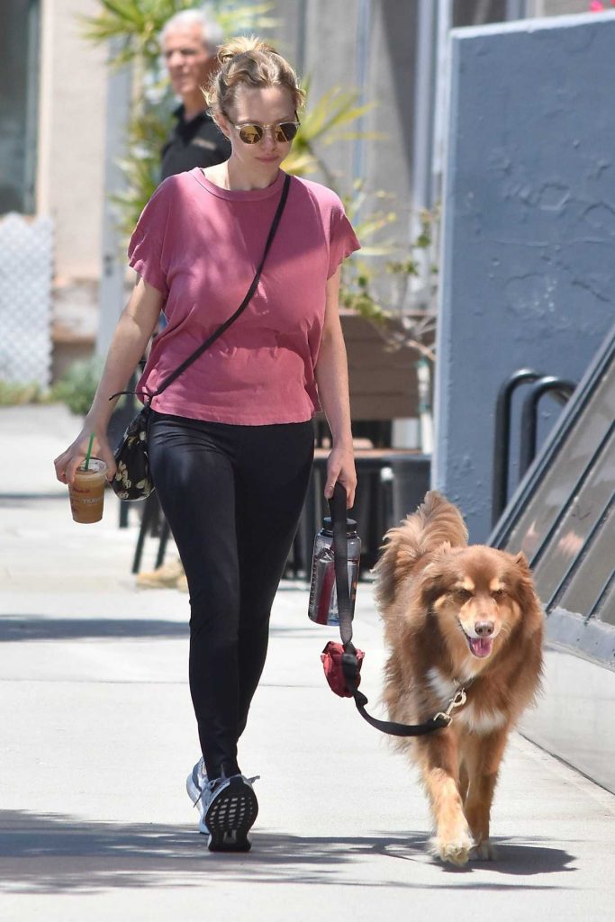 Amanda Seyfried Walkes Her Dog in West Hollywood 05/16/2017-2