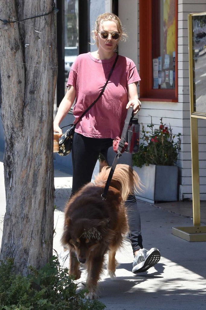Amanda Seyfried Walkes Her Dog in West Hollywood 05/16/2017-3