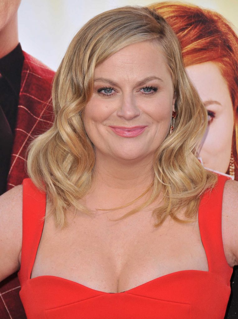 Amy Poehler at The House Premiere at TCL Chinese Theater in Hollywood 06/26/2017-5