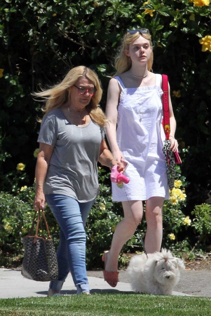 Elle Fanning Walks Her Dog Lewellen in LA 06/28/2017-1