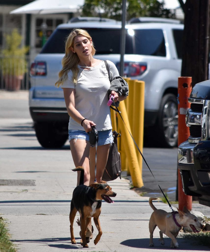 Ashley Greene Walks Her Dog in Los Angeles 07/02/2017-2
