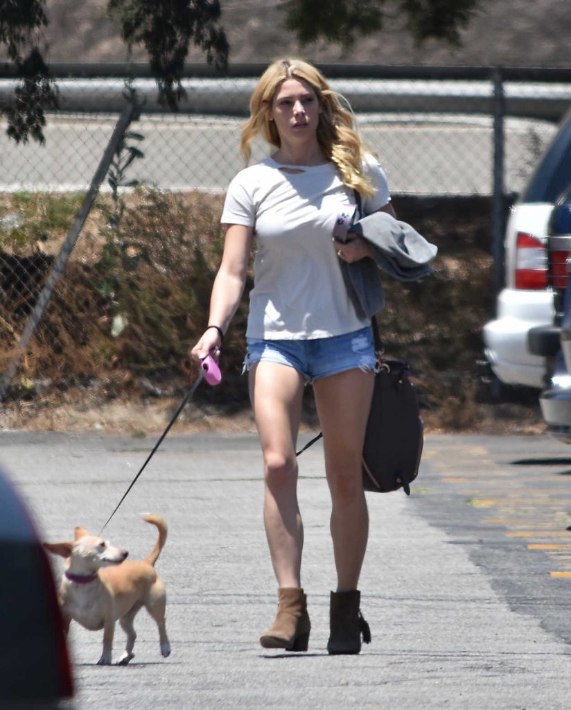 Ashley Greene Walks Her Dog in Los Angeles 07/02/2017-3