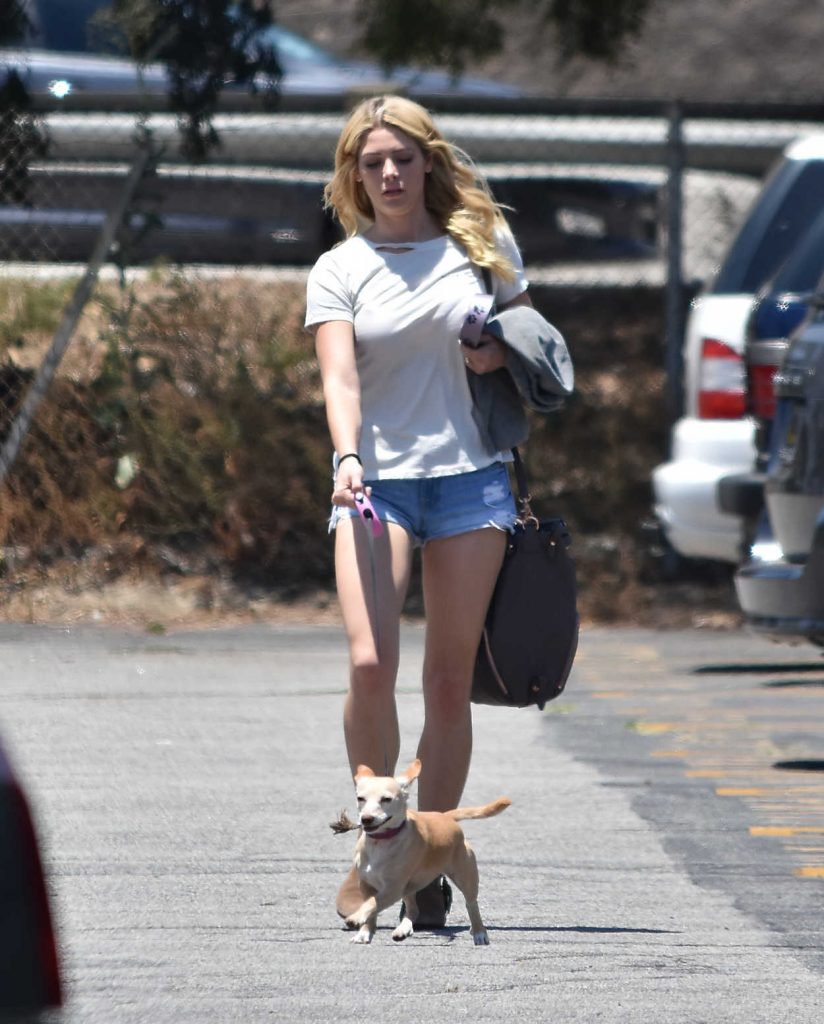 Ashley Greene Walks Her Dog in Los Angeles 07/02/2017-4