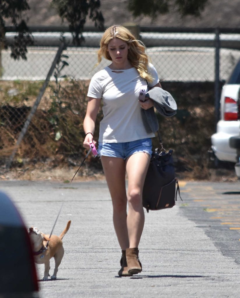 Ashley Greene Walks Her Dog in Los Angeles 07/02/2017-5