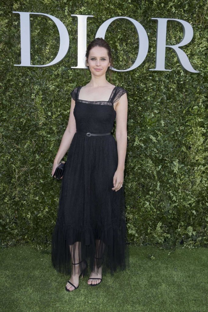 Felicity Jones at the Christian Dior Couturier du Reve Exhibition Launch Celebrating 70 Years of Creation in Paris 07/03/2017-2