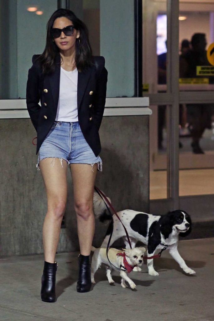 Olivia Munn Was Seen in Vancouver With Her Dogs 07/30/2017-4