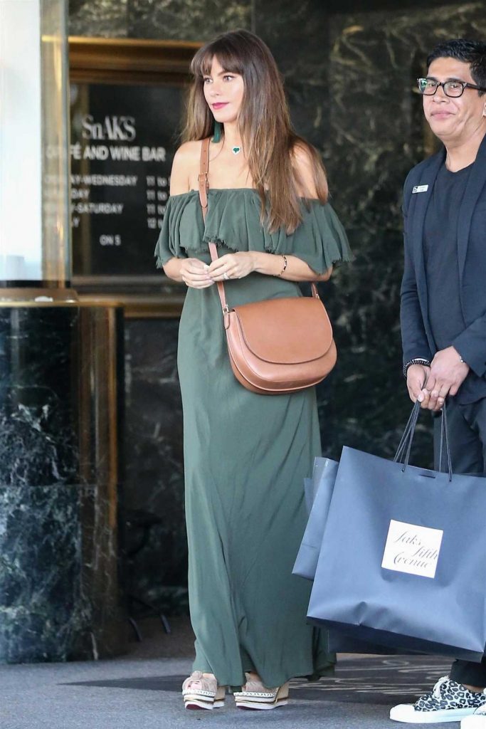 Sofia Vergara Out Shopping in Beverly Hills 07/12/2017-4